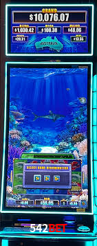 VIP Casino 542bet